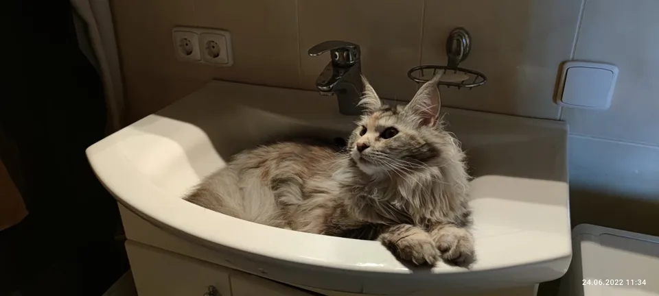 Наші випускники